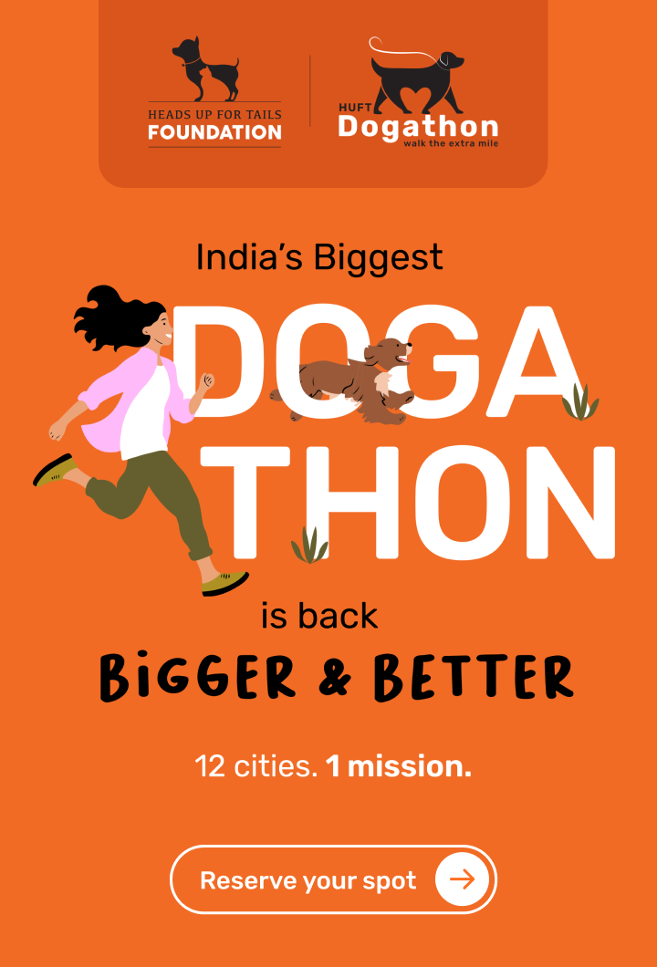 HUFT Dogathon Events Heads Up For Tails HUFT Dogathon Events Heads Up For Tails