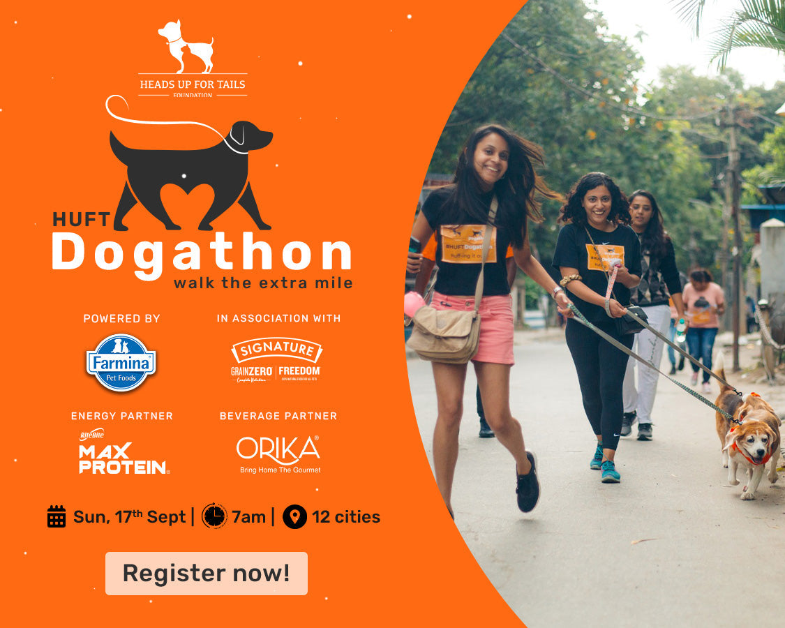 Dogathon Kochi