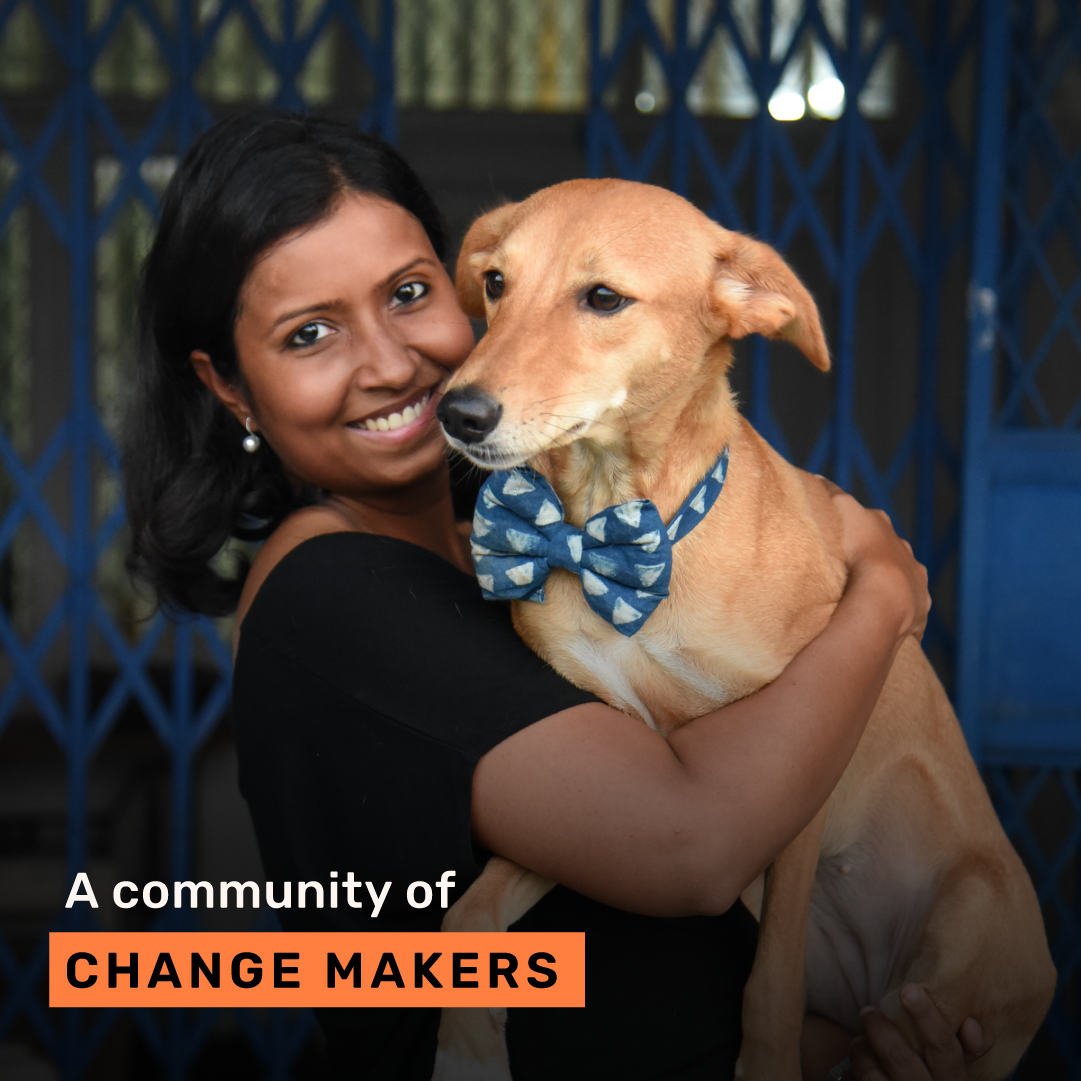 HUFT Tribe Events Heads Up For Tails HUFT Tribe Events Heads Up For Tails